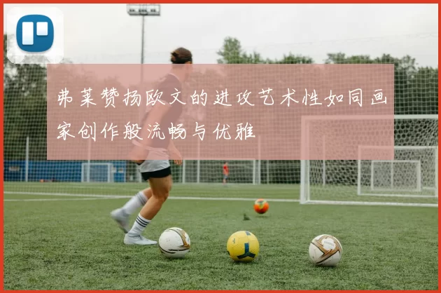 弗莱赞扬欧文的进攻艺术性如同画家创作般流畅与优雅