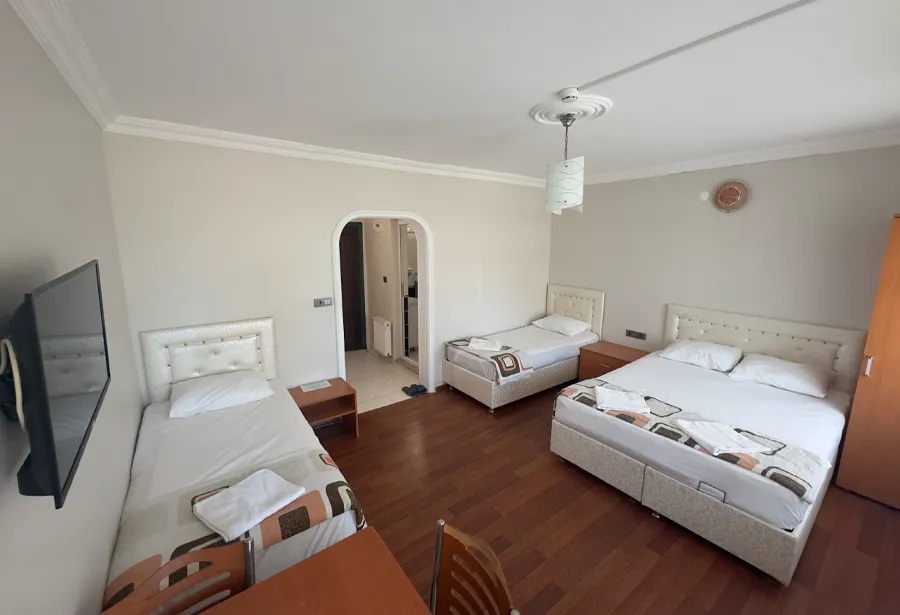 Ekşioğlu Apart Hotel Bahçe Odası Görseli